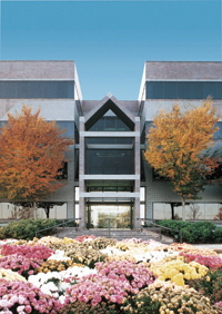 High Corporate Office