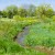 About Environmental Sustainability - Greenfield Riparian Buffer