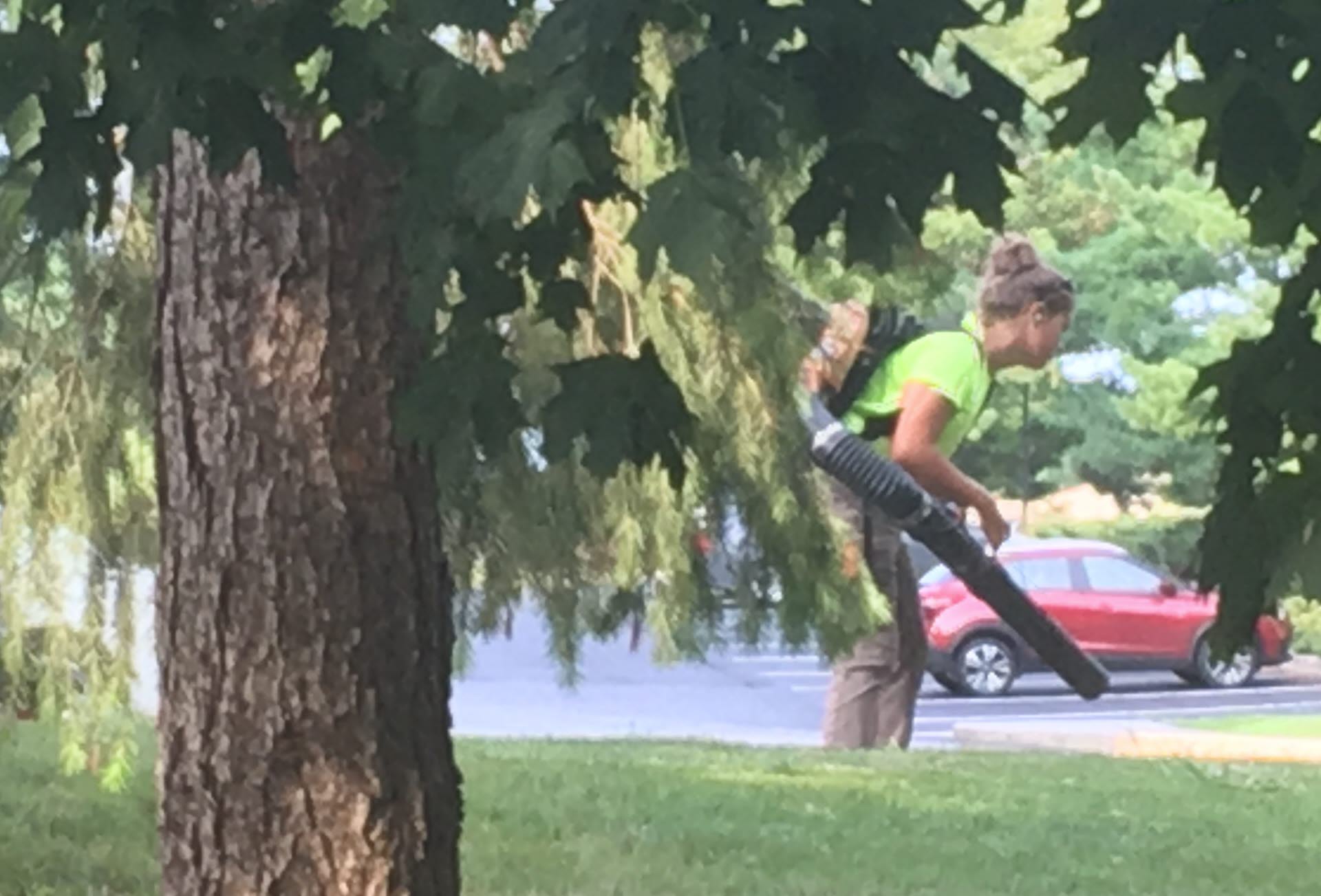 a Career in Grounds Maintenance