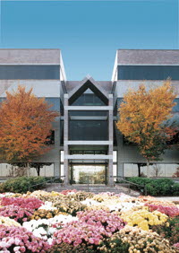 High Corporate Office